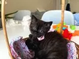 Siyah Ve Beyaz galeri görseli 2