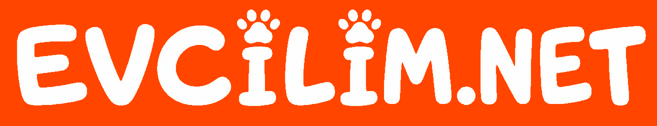 Evcil Hayvan Sahiplendirme ve Satılık İlanlar | Evcilim.net mobil logosu